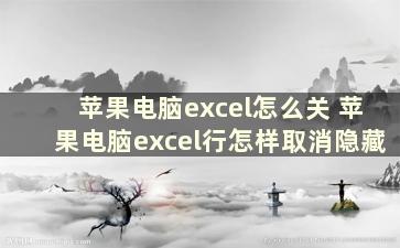 苹果电脑excel怎么关 苹果电脑excel行怎样取消隐藏